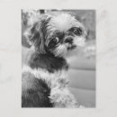 Suche nach tau postkarten Natur