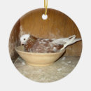 Suche nach tauben ornamente Vögel