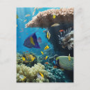 Suche nach karibische fische poster Aquarium