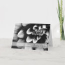 Suche nach dahlia karten Blätter