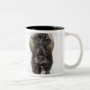 Suche nach amerikanischer bison tassen Landschaft