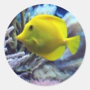 Suche nach flossen aufkleber Fisch