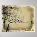 Suche nach vögel auf einem draht poster Vintag