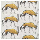 Suche nach gazelle Afrikanische tiere