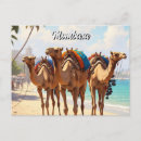 Suche nach mombasa postkarten Sumpf