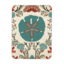 Suche nach muscheln magnete Natur