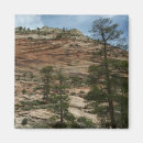 Suche nach zion national park magnete Natur