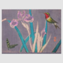 Suche nach kolibrie seidenpapier Iris