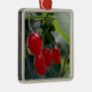 Suche nach flecken ornamente Rot