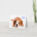 Suche nach bulldogge karten Hund