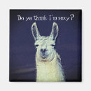 Suche nach für partner magnete Paar