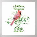 Suche nach cardinal poster Bird