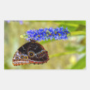 Suche nach blauer schmetterling aufkleber Natur