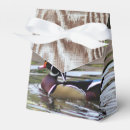Suche nach teich papier geschenk box Wasser