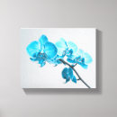 Suche nach weiße orchideen leinwandbilder Schön