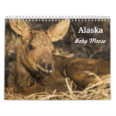 Suche nach naturphotographie kalender Tierphotographie