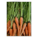 Suche nach roher karten Nahrung