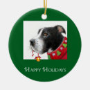 Suche nach pitbull ornamente Liebhaber