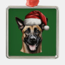 Suche nach malinois ornamente Haustier