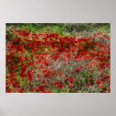 Suche nach beautiful poster Blumenreich