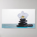 Suche nach weiße orchidee poster Natur