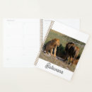 Suche nach kalahari Wild