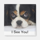 Suche nach trier magnete Hund