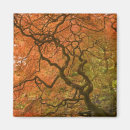 Suche nach roter baum magnete Farbenfroh