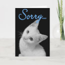 Suche nach türkisch karten Katze