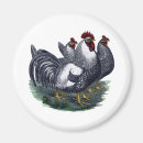 Suche nach vintager hahn magnete Huhn