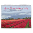 Suche nach tulpe kalender Blüten