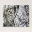 Suche nach owl puzzle Nature