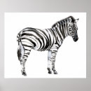 Suche nach zebra poster Jungle