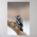 Suche nach höhle poster Männlich