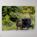 Suche nach buggyen poster Pferd