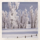 Suche nach frost untersetzer Winter