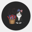 Suche nach mann 4 aufkleber Amerikanische unabhängigkeitstag