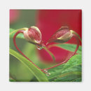 Suche nach herzform magnete Blume