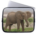 Suche nach essen laptop schutzhüllen Säugetier