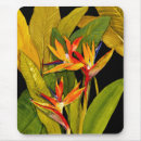 Suche nach paradiesvögel mousepads Tropische blume