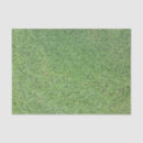 Suche nach gräser seidenpapier Rasen