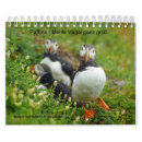 Suche nach vogel kalender Vögel