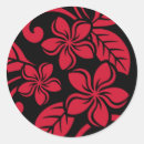 Suche nach plumeria aufkleber Tropisch