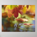 Suche nach bellingham poster Washington