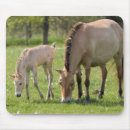 Suche nach stuten mousepads Ranch