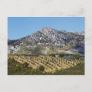 Suche nach nahrung postkarten Landwirtschaft