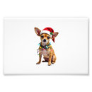 Suche nach lustige chihuahua poster Mops