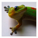 Suche nach lustige eidechse poster Gecko