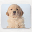 Suche nach vorderansicht mousepads Kamera betrachten