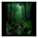 Suche nach rainforest poster Regenwald